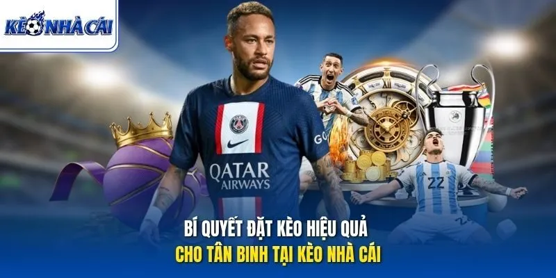 Bí quyết đặt kèo hiệu quả cho tân binh tại Kèo Nhà Cái
