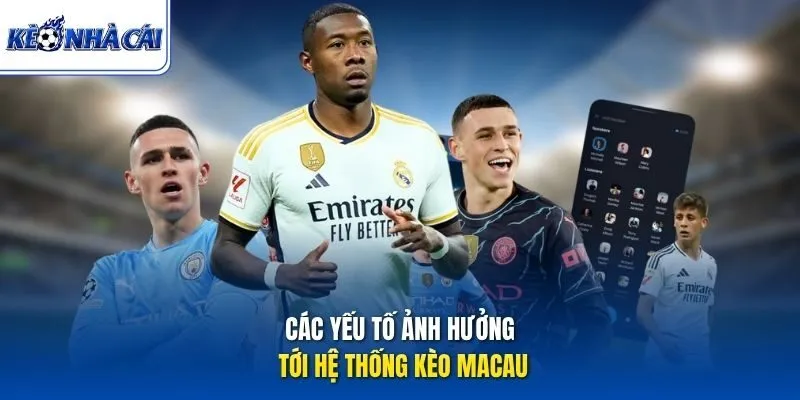 Các yếu tố ảnh hưởng tới hệ thống kèo Macau