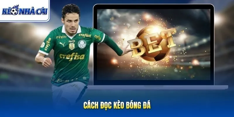 Cách đọc kèo bóng đá