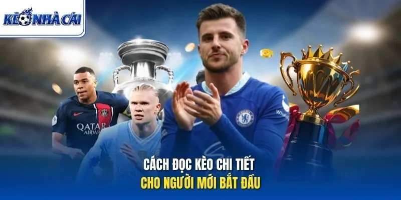Cách đọc kèo chi tiết cho người mới bắt đầu