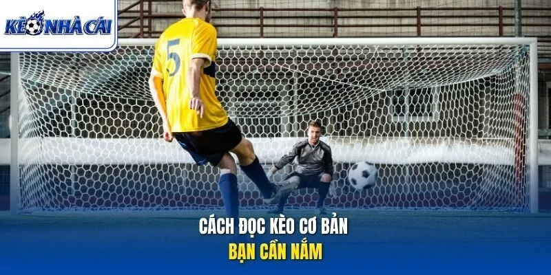 Cách đọc kèo cơ bản bạn cần nắm
