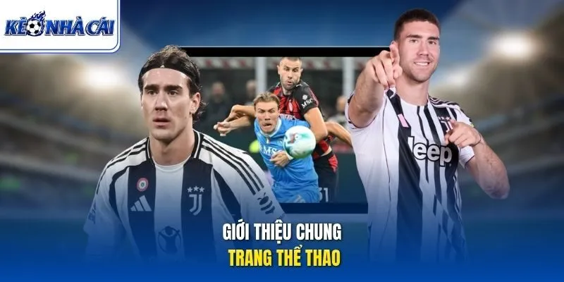 Giới thiệu chung trang thể thao