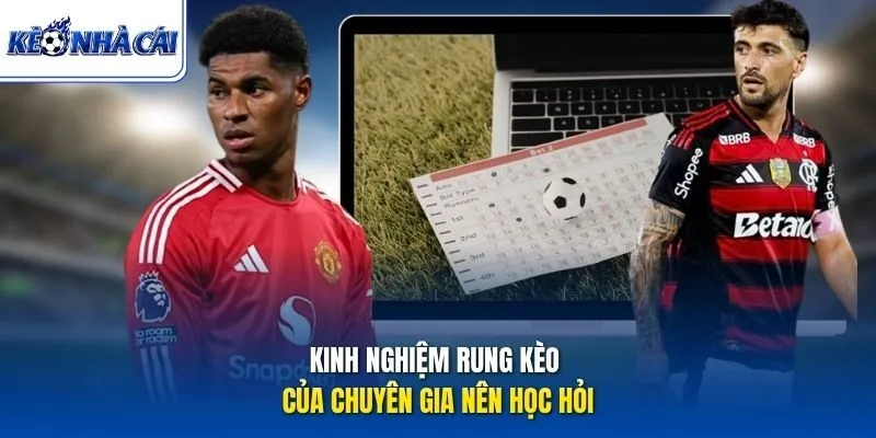 Kinh nghiệm rung kèo của chuyên gia nên học hỏi