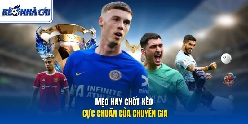 Mẹo hay chốt kèo cực chuẩn của chuyên gia
