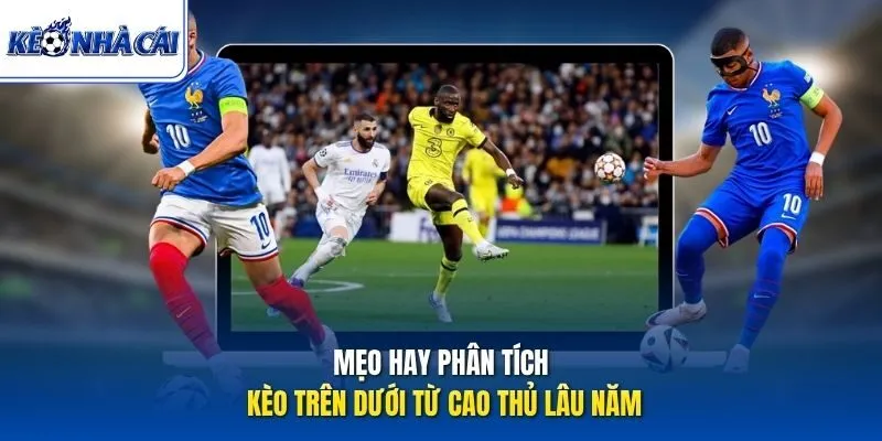 Mẹo hay phân tích kèo trên dưới từ cao thủ lâu năm