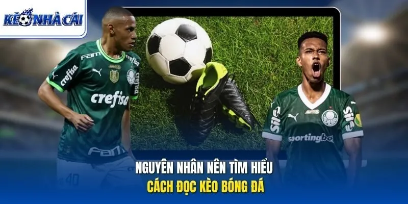 Nguyên nhân nên tìm hiểu cách đọc kèo bóng đá