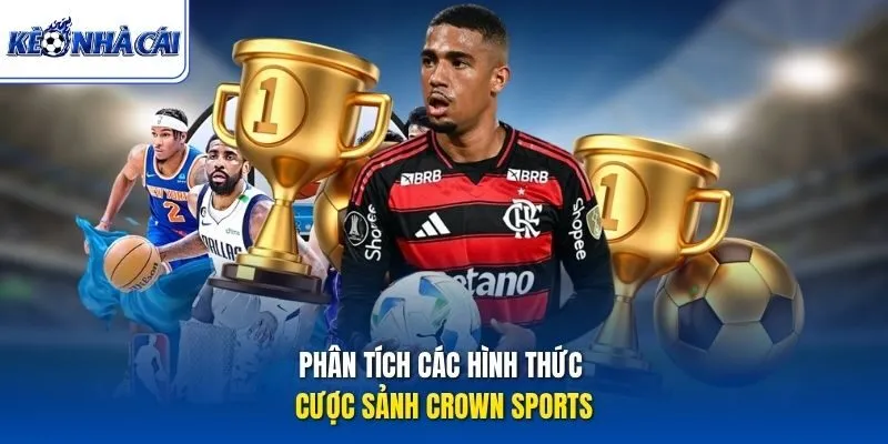 Phân tích các hình thức cược sảnh Crown Sports