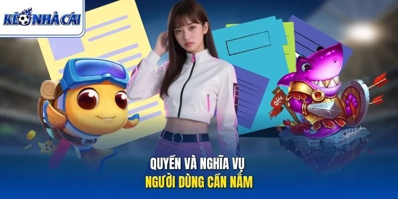 Quyền và nghĩa vụ người dùng cần nắm