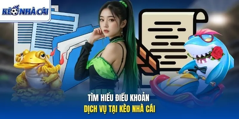 Tìm hiểu điều khoản dịch vụ tại Kèo Nhà Cái
