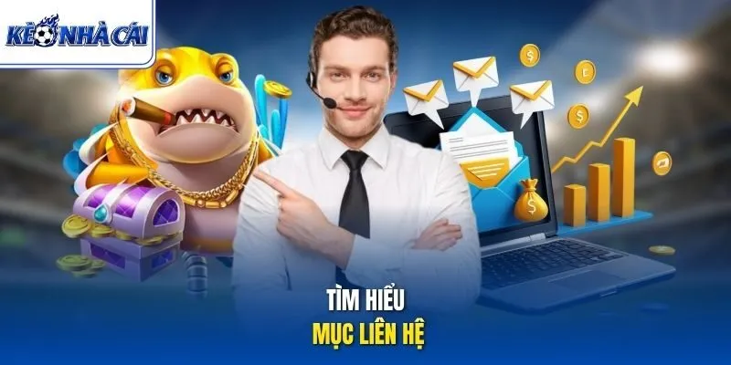 Tìm hiểu mục liên hệ