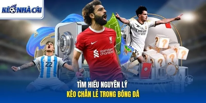 Tìm hiểu nguyên lý kèo chẵn lẻ trong bóng đá
