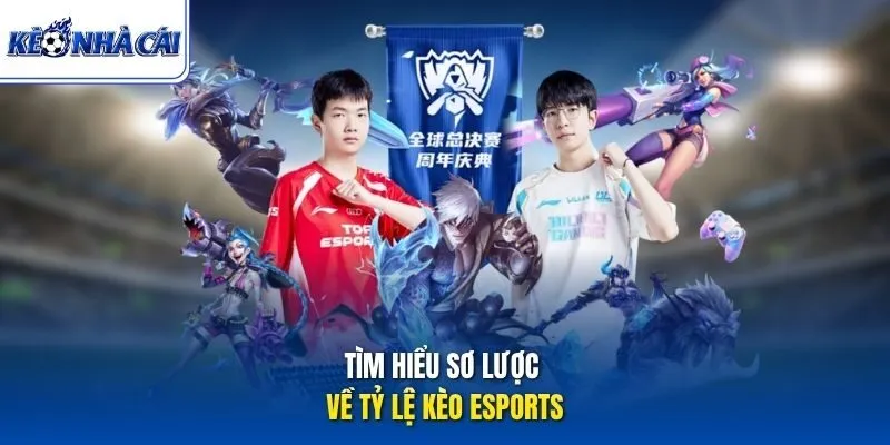 Tìm hiểu sơ lược về tỷ lệ kèo Esports