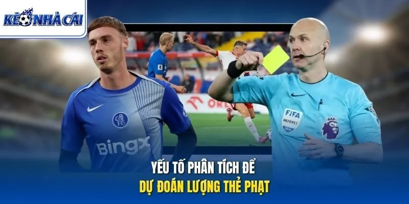 Yếu tố phân tích để dự đoán lượng thẻ phạt